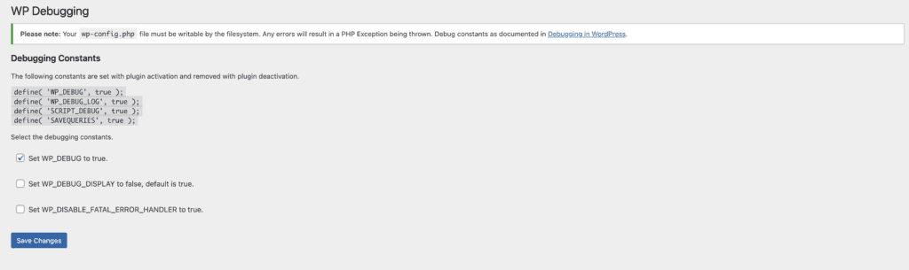 WP Debugging interface